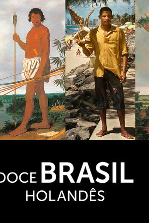 Doce Brasil Holandês