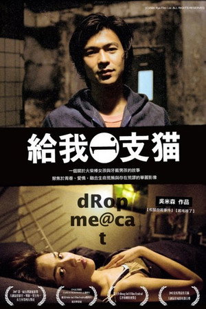 给我一只猫