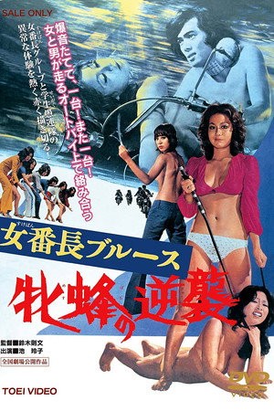 女番长布鲁斯:雌蜂的逆袭