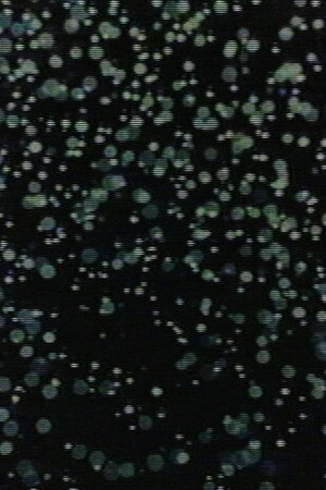 Motion