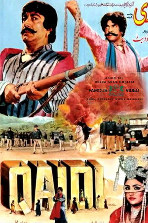 Qaidi