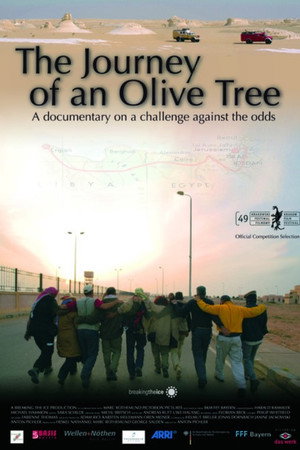 The Journey of an Olive Tree