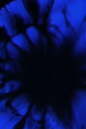 Adagio