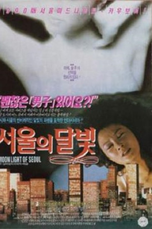 서울의 달빛