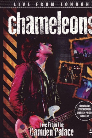 The Chameleons: Live at the Camden Palace