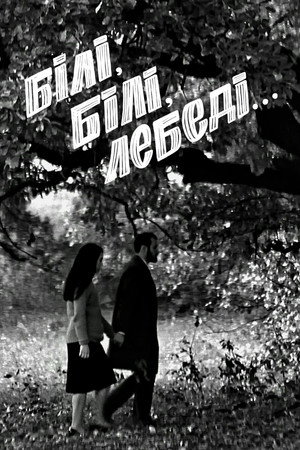 Білі, білі лебеді...
