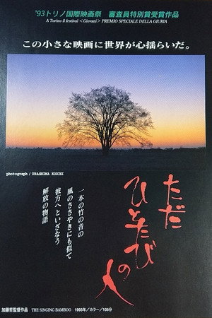 ただひとたびの人