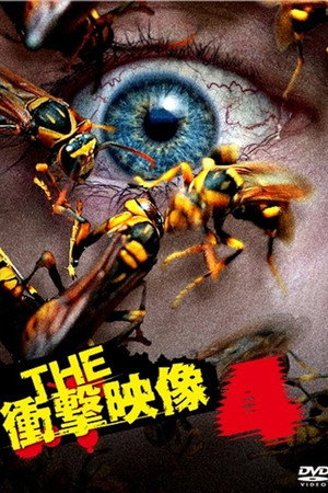 THE 衝撃映像 4