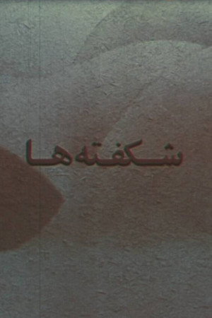 شکفته ها