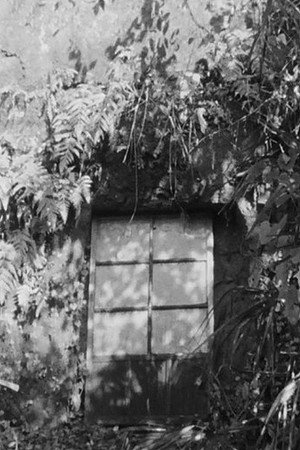 MY SHELTER