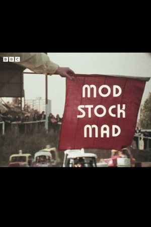 The Fanatics: Mod Stock Mad