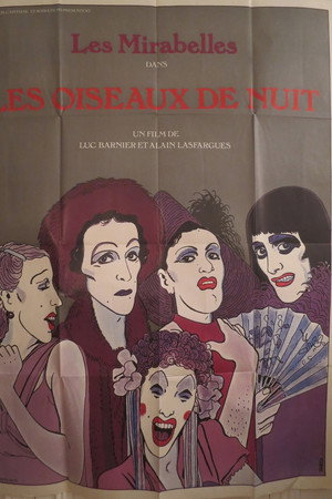 Les oiseaux de nuit