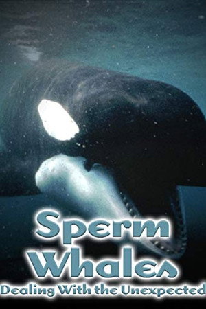 Sperm Whales: Dealing with the Unexpected
