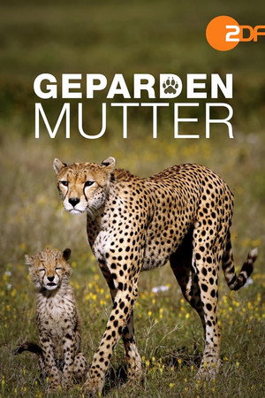 Gepardenmutter