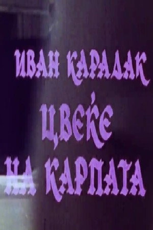 Цвеќе на карпата