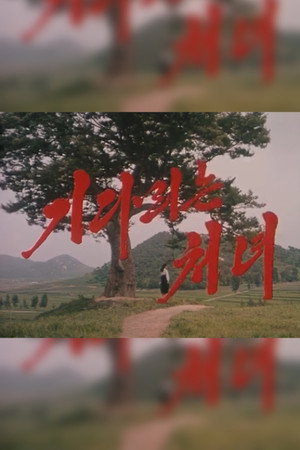 기다리는 처녀