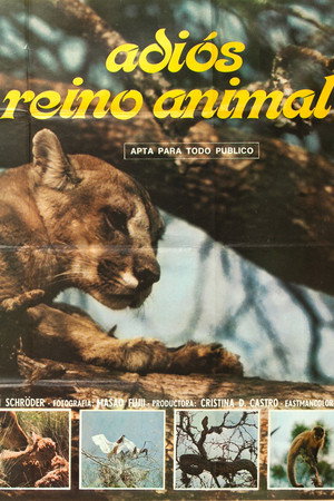 Adiós reino animal