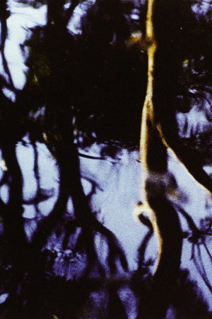 Corporeal