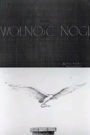 Wolność nogi