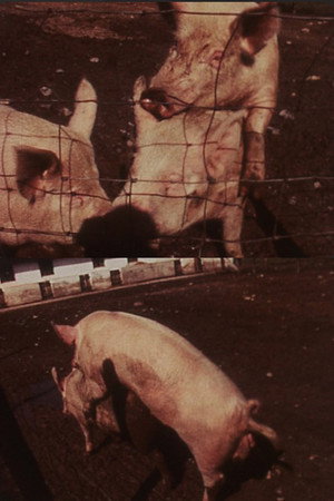 Slop Print