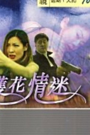 護花情迷
