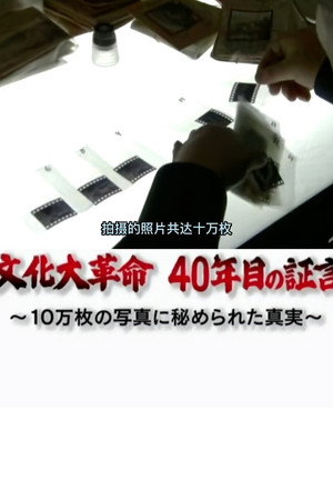 文化大革命 40年后的证言