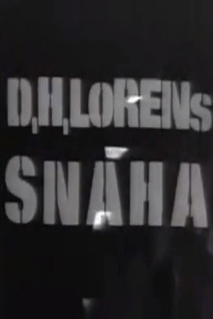 Snaha