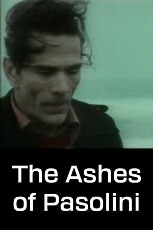 Le ceneri di Pasolini