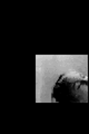 Little Movies. No. 5: Classical Cinema II