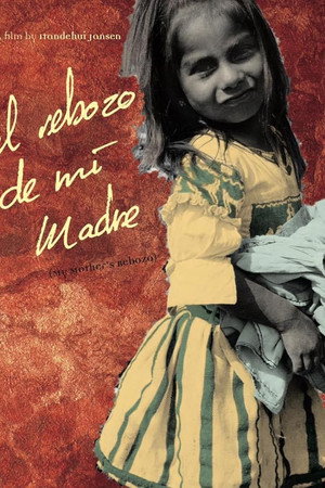 El rebozo de mi madre