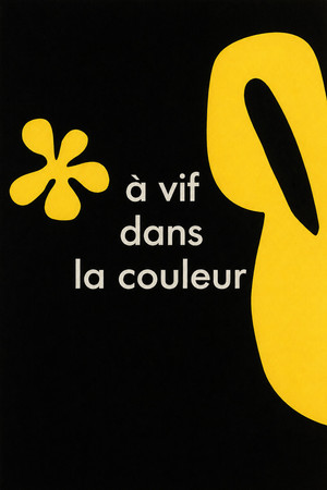Henri Matisse « A vif dans la couleur »