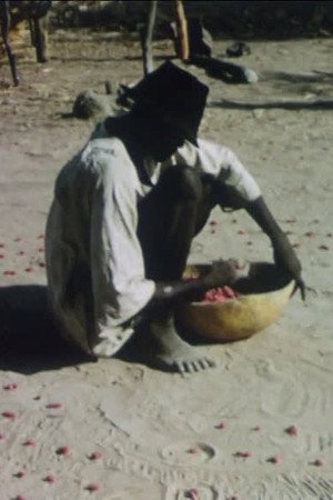 Foulina