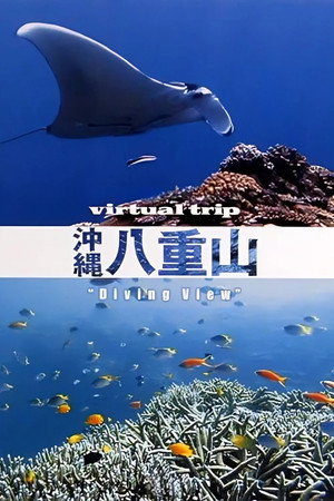 实境之旅:冲绳八重山