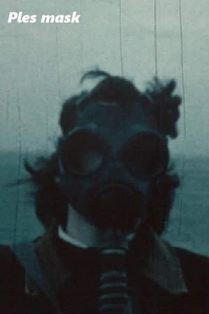 Ples mask