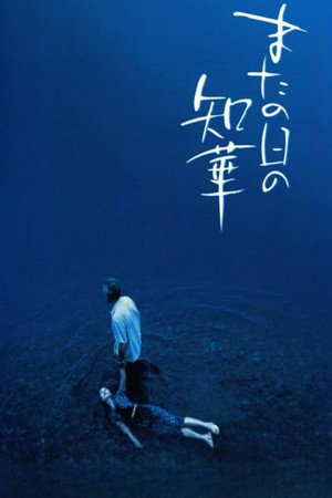 来日知华