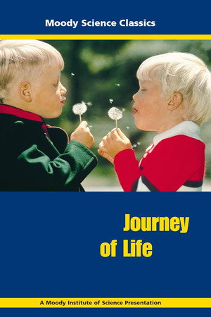Journey of Life