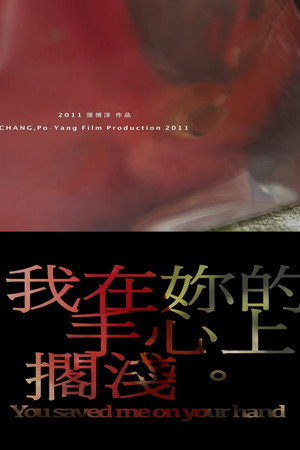 我在你的手心上搁浅
