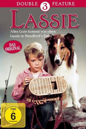 Lassie In Handford
