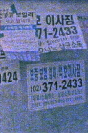 촌, 타운