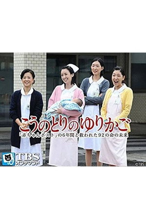 鹳鸟摇篮:“弃婴保护舱”六年中拯救的92条生命的未来