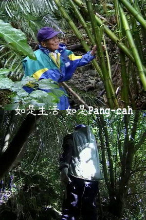 如是生活 如是Pang-cah