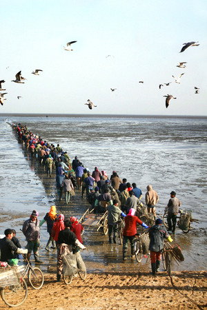 海路十八里