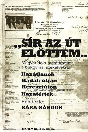 Sír az út elöttem...