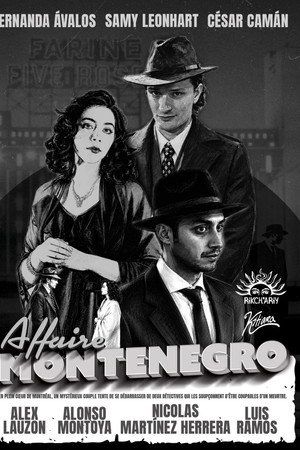 Affaire Montenegro