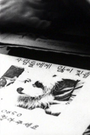 나무들이 봤어