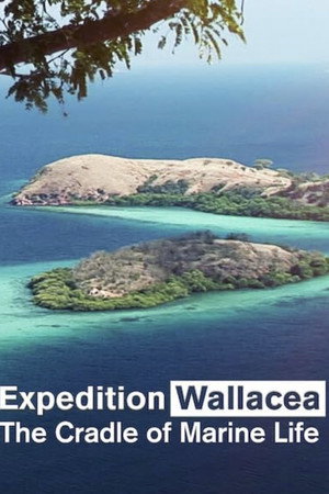 Wallacea - Expedition zur Wiege der Meeresfauna