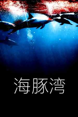 海豚湾