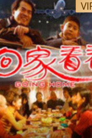 回家看看