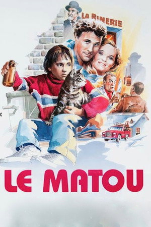 Le matou