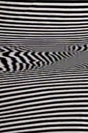 Black/White/Text